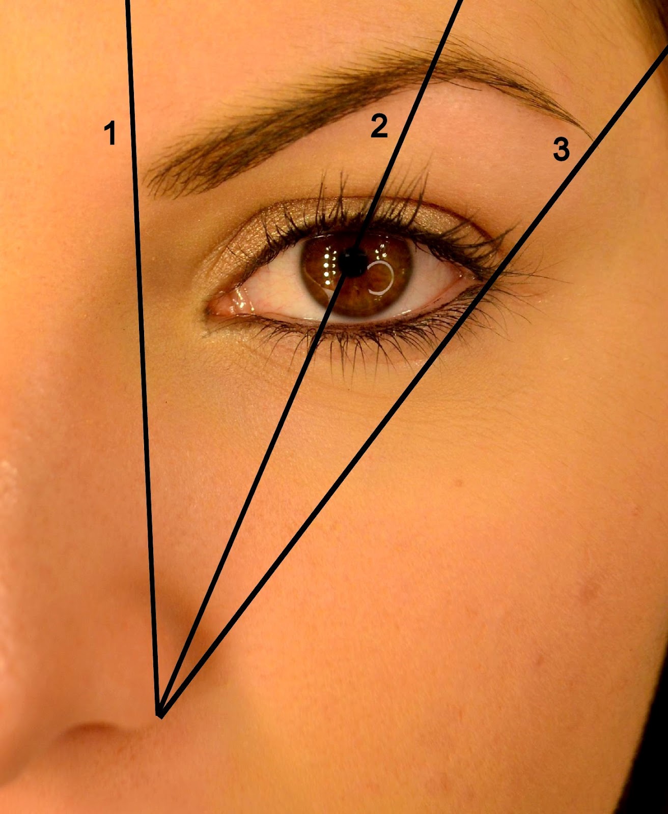 comment arreter de s epiler les sourcils