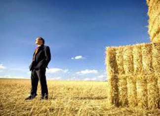 Deux ateliers de formation sur l’entrepreneuriat du 10 au 12 novembre 2015